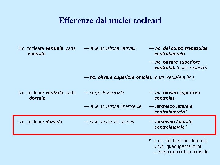 Efferenze dai nuclei cocleari Nc. cocleare ventrale, parte ventrale → strie acustiche ventrali →