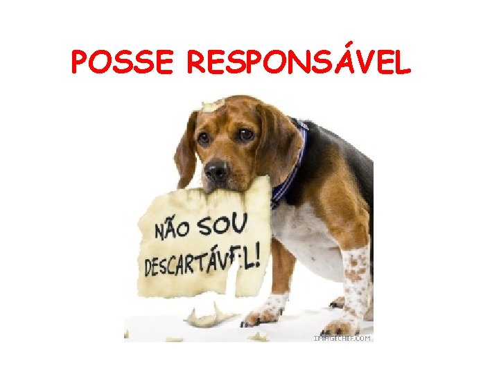 POSSE RESPONSÁVEL 