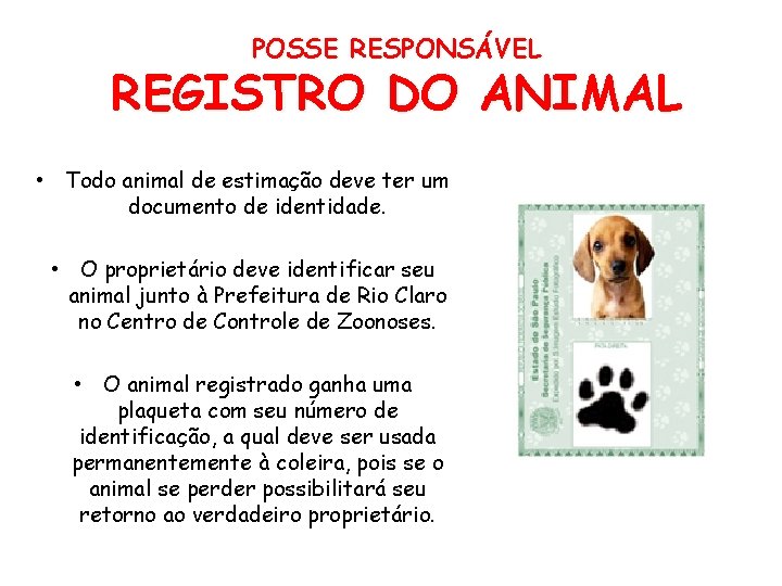 POSSE RESPONSÁVEL REGISTRO DO ANIMAL • Todo animal de estimação deve ter um documento