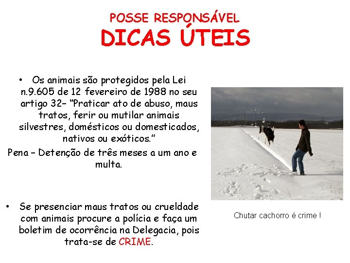 POSSE RESPONSÁVEL DICAS ÚTEIS • Os animais são protegidos pela Lei n. 9. 605
