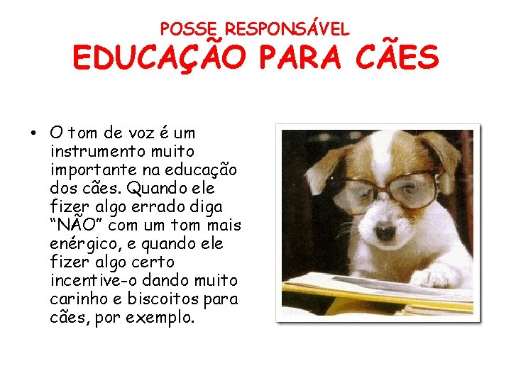 POSSE RESPONSÁVEL EDUCAÇÃO PARA CÃES • O tom de voz é um instrumento muito