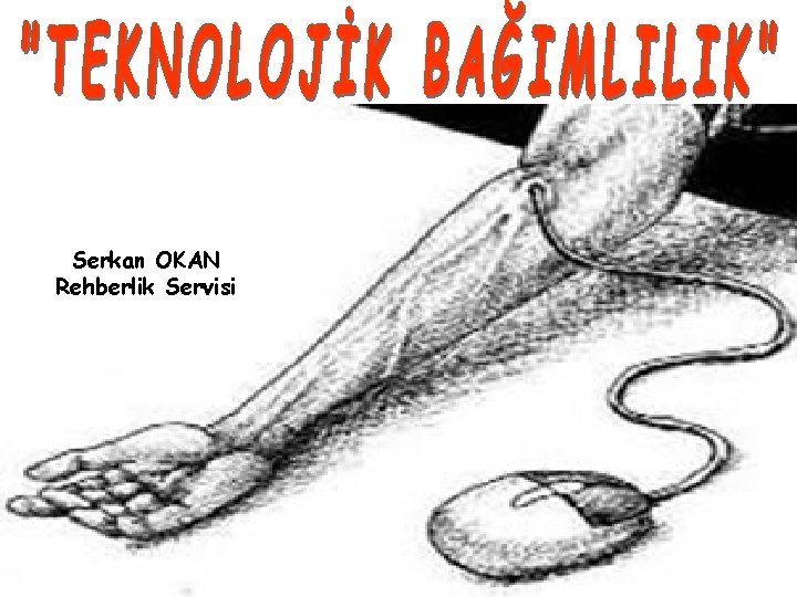 Serkan OKAN Rehberlik Servisi 