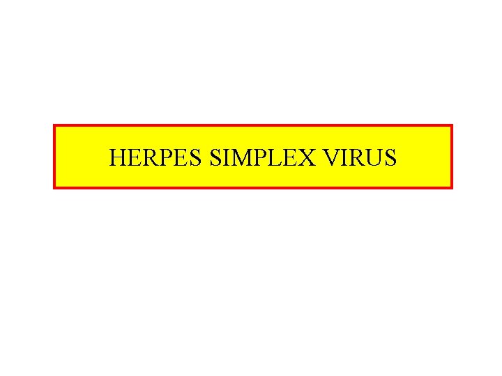 HERPES SIMPLEX VIRUS 