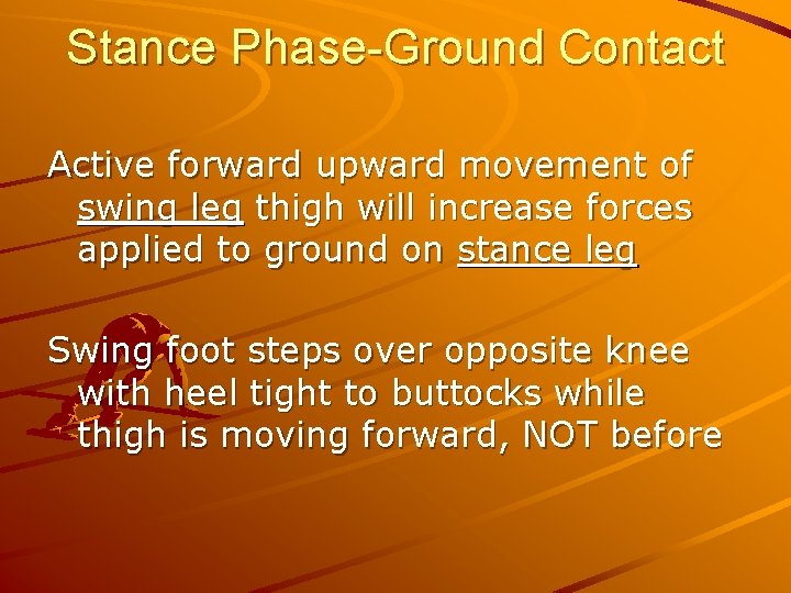 Stance Phase-Ground Contact Active forward upward movement of swing leg thigh will increase forces