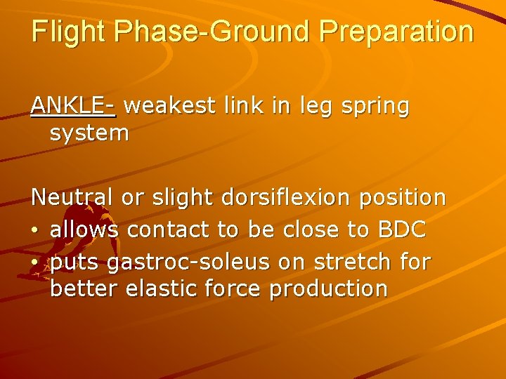 Flight Phase-Ground Preparation ANKLE- weakest link in leg spring system Neutral or slight dorsiflexion