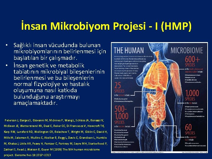 İnsan Mikrobiyom Projesi - I (HMP) • Sağlıklı insan vücudunda bulunan mikrobiyomlarının belirlenmesi için