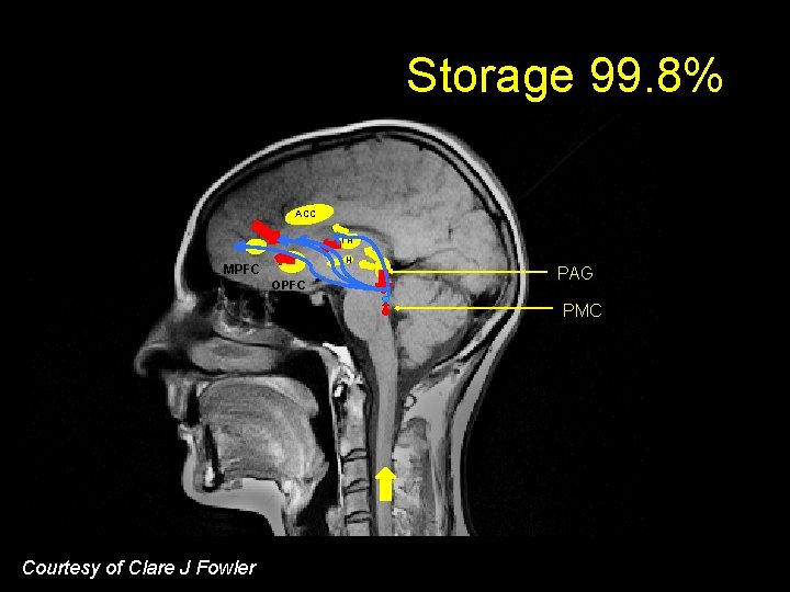 Storage 99. 8% ACC TH H MPFC OPFC PAG PMC Courtesy of Clare J