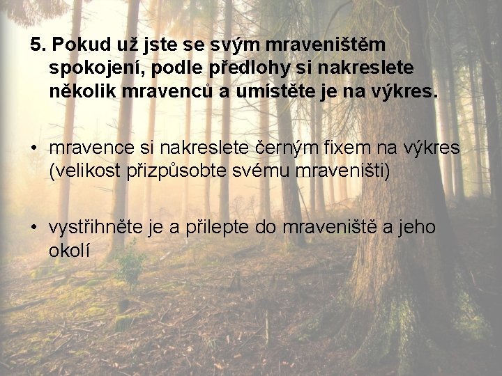 5. Pokud už jste se svým mraveništěm spokojení, podle předlohy si nakreslete několik mravenců