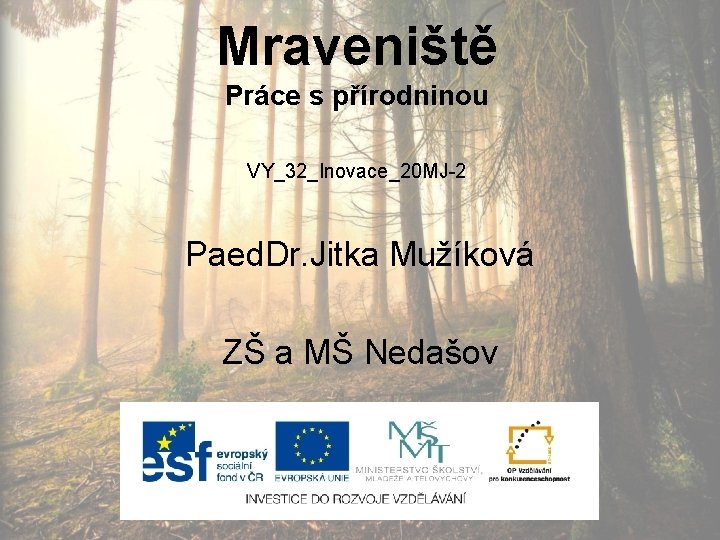 Mraveniště Práce s přírodninou VY_32_Inovace_20 MJ-2 Paed. Dr. Jitka Mužíková ZŠ a MŠ Nedašov