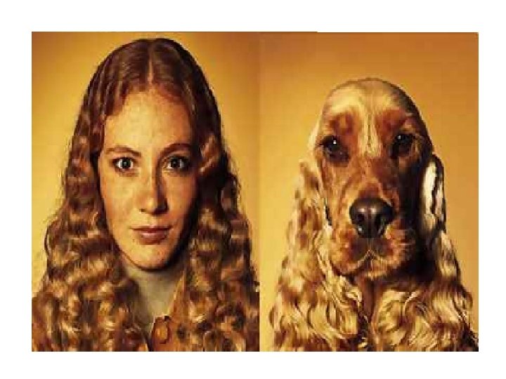 ****Fotos de cachorros parecidos com seus donos 