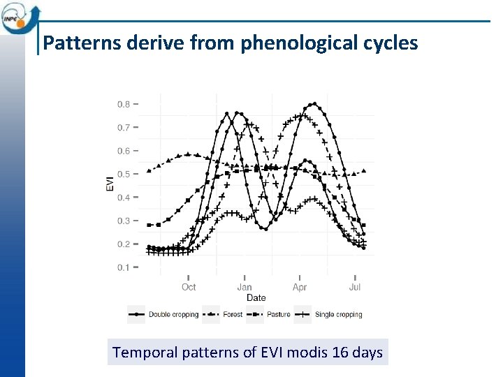 Patterns derive from phenological cycles Temporal patterns of EVI modis 16 days 