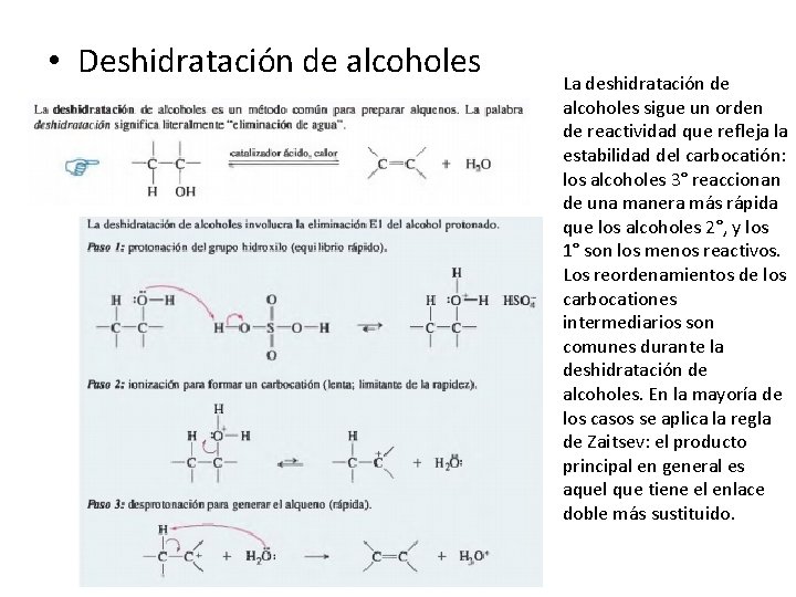  • Deshidratación de alcoholes La deshidratación de alcoholes sigue un orden de reactividad