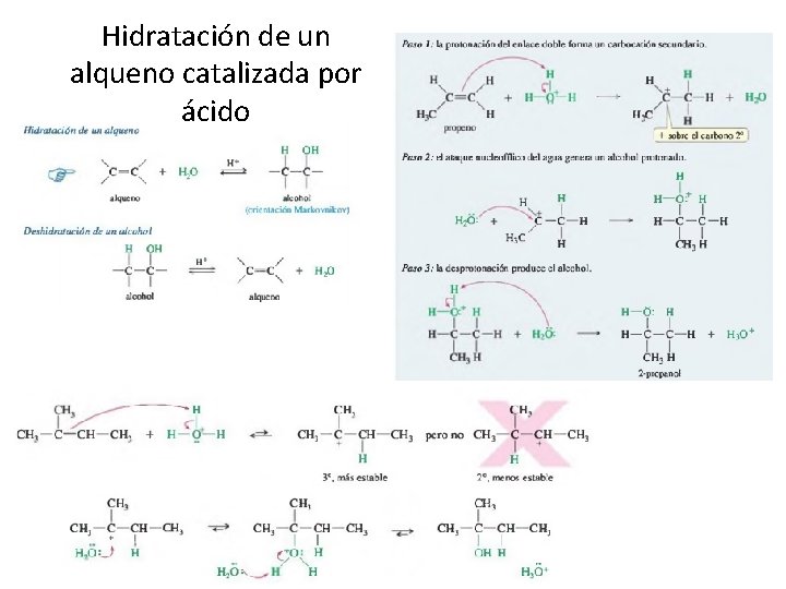 Hidratación de un alqueno catalizada por ácido 
