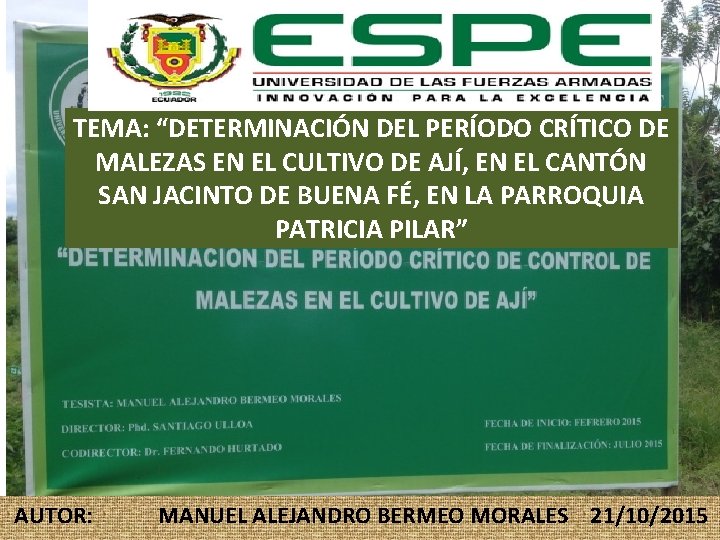 TEMA: “DETERMINACIÓN DEL PERÍODO CRÍTICO DE MALEZAS EN EL CULTIVO DE AJÍ, EN EL