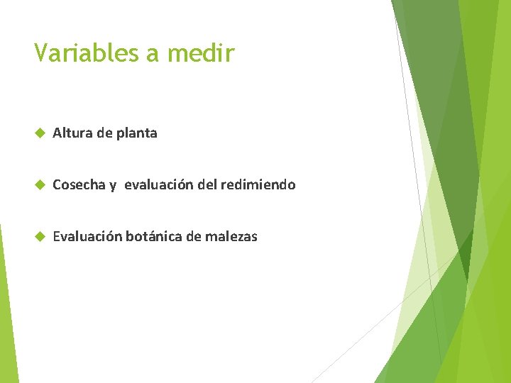 Variables a medir Altura de planta Cosecha y evaluación del redimiendo Evaluación botánica de