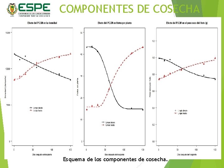 COMPONENTES DE COSECHA Esquema de los componentes de cosecha. 