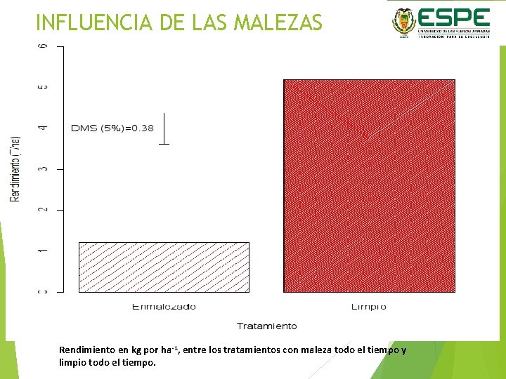 INFLUENCIA DE LAS MALEZAS Rendimiento en kg por ha-1, entre los tratamientos con maleza