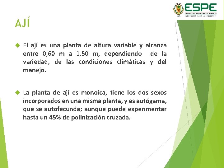 AJÍ El ají es una planta de altura variable y alcanza entre 0, 60