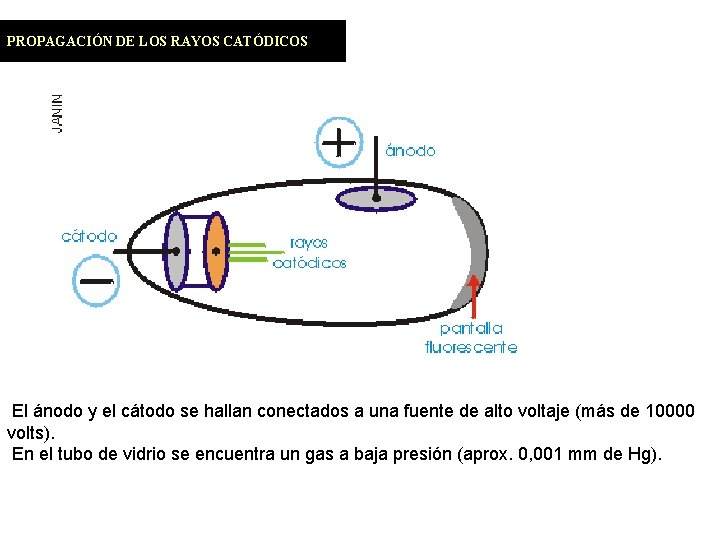 PROPAGACIÓN DE LOS RAYOS CATÓDICOS El ánodo y el cátodo se hallan conectados a