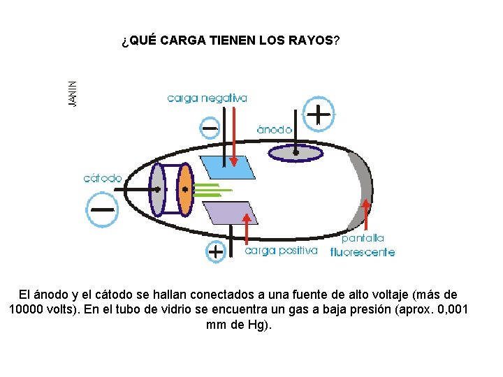 ¿QUÉ CARGA TIENEN LOS RAYOS? El ánodo y el cátodo se hallan conectados a