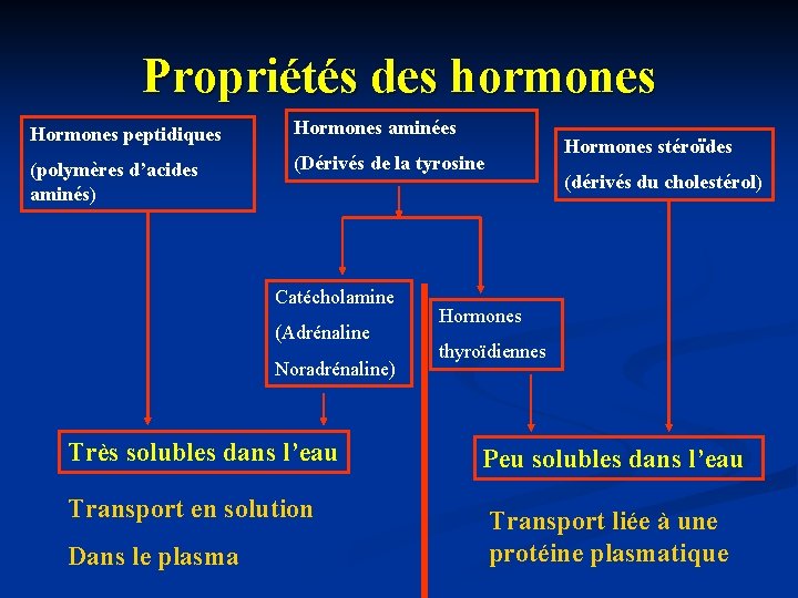 Propriétés des hormones Hormones peptidiques Hormones aminées (polymères d’acides aminés) (Dérivés de la tyrosine