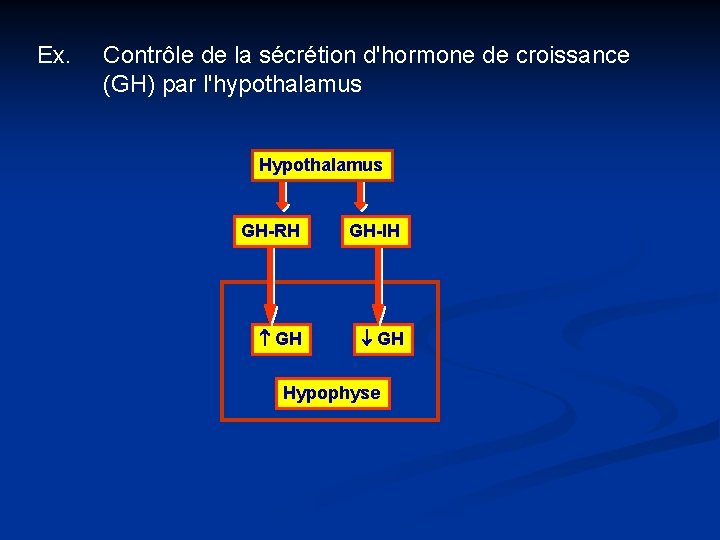 Ex. Contrôle de la sécrétion d'hormone de croissance (GH) par l'hypothalamus Hypothalamus GH-RH GH-IH