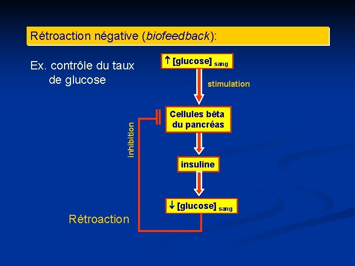 Rétroaction négative (biofeedback): inhibition Ex. contrôle du taux de glucose [glucose] sang stimulation Cellules