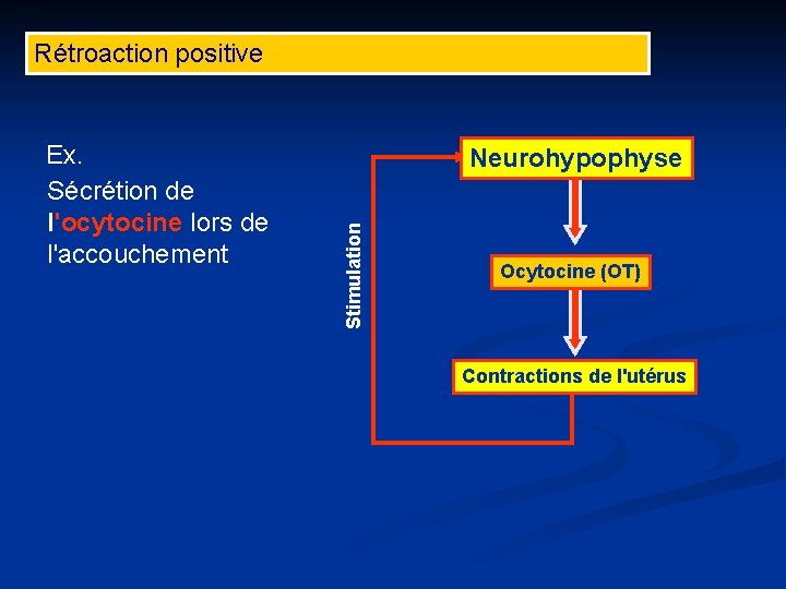 Rétroaction positive Neurohypophyse Stimulation Ex. Sécrétion de l'ocytocine lors de l'accouchement Ocytocine (OT) Contractions