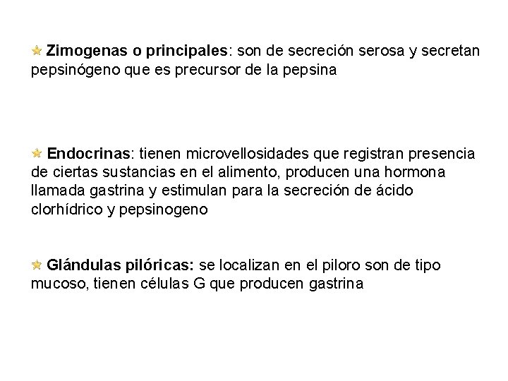 Zimogenas o principales: son de secreción serosa y secretan pepsinógeno que es precursor de