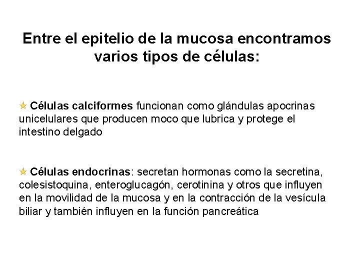 Entre el epitelio de la mucosa encontramos varios tipos de células: Células calciformes funcionan