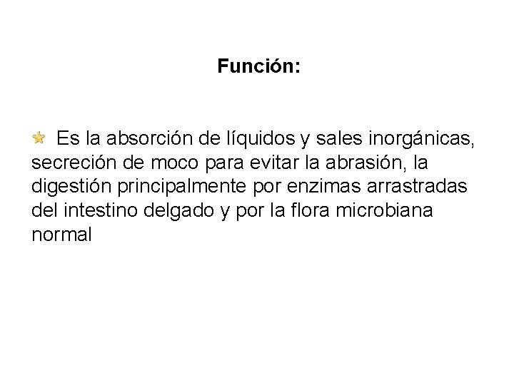 Función: Es la absorción de líquidos y sales inorgánicas, secreción de moco para evitar