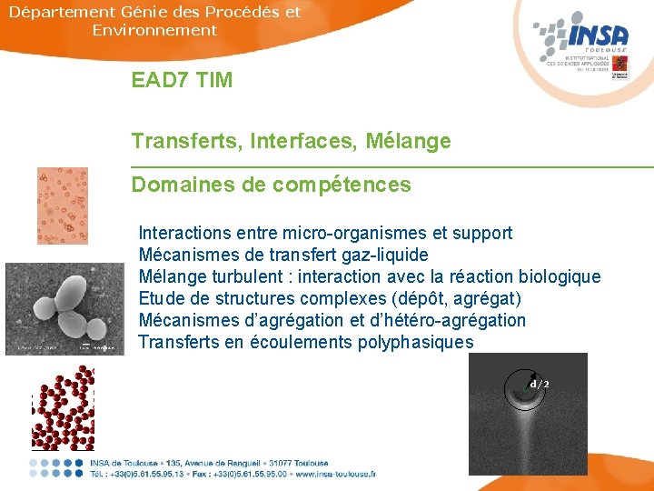 Département Génie des Procédés et Environnement EAD 7 TIM Transferts, Interfaces, Mélange Domaines de