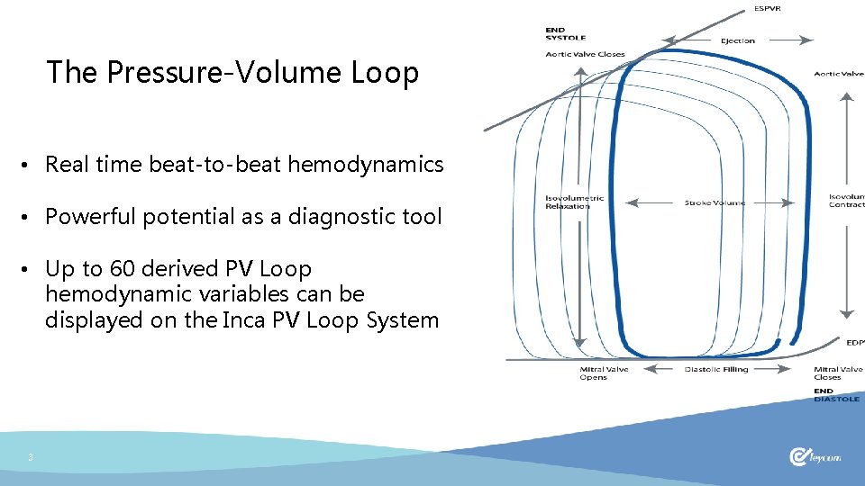 The Pressure-Volume Loop • Real time beat-to-beat hemodynamics • Powerful potential as a diagnostic