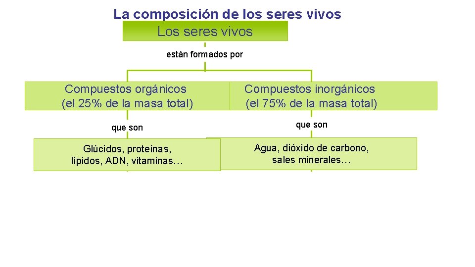 La composición de los seres vivos Los seres vivos están formados por Compuestos orgánicos