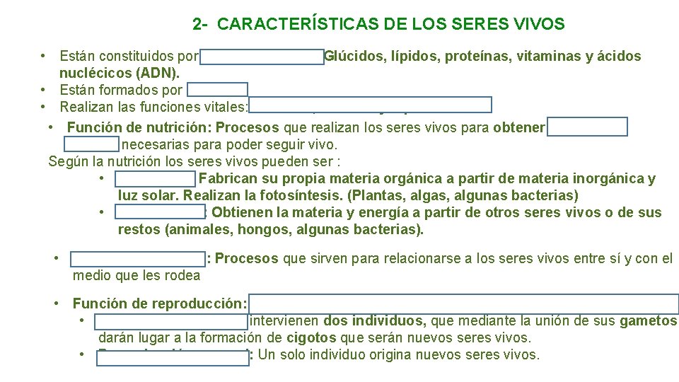 2 - CARACTERÍSTICAS DE LOS SERES VIVOS • Están constituidos por materia orgánica. Glúcidos,