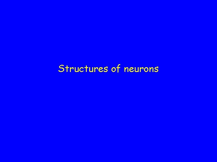 Structures of neurons Structures of neurons