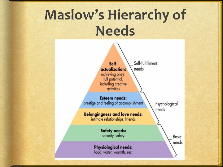 Maslow’s Hierarchy of Needs 