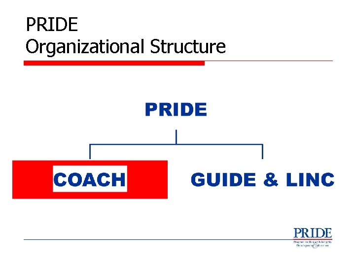 PRIDE Organizational Structure 