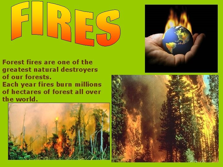 Forest fires are one of the greatest natural destroyers of our forests. Each year