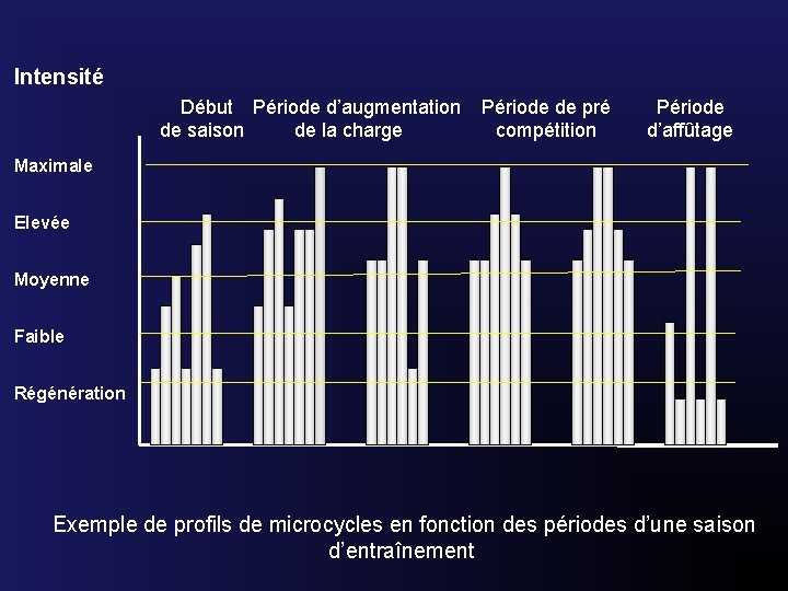 Intensité Début Période d’augmentation de saison de la charge Maximale Période de pré compétition
