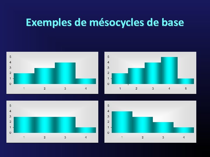Exemples de mésocycles de base 