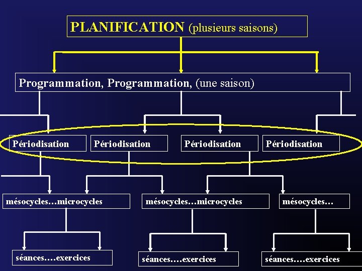 PLANIFICATION (plusieurs saisons) Programmation, (une saison) Périodisation mésocycles…microcycles séances…. exercices Périodisation mésocycles… séances…. exercices