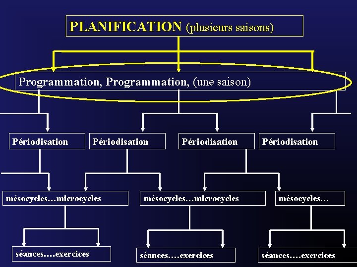 PLANIFICATION (plusieurs saisons) Programmation, (une saison) Périodisation mésocycles…microcycles séances…. exercices Périodisation mésocycles… séances…. exercices