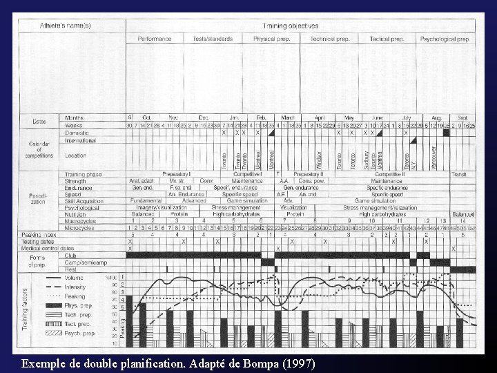 Exemple de double planification. Adapté de Bompa (1997) 