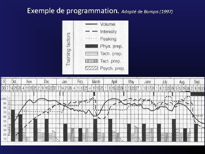Exemple de programmation. Adapté de Bompa (1997) 
