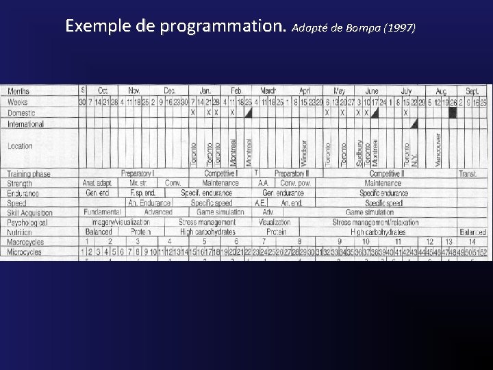 Exemple de programmation. Adapté de Bompa (1997) 