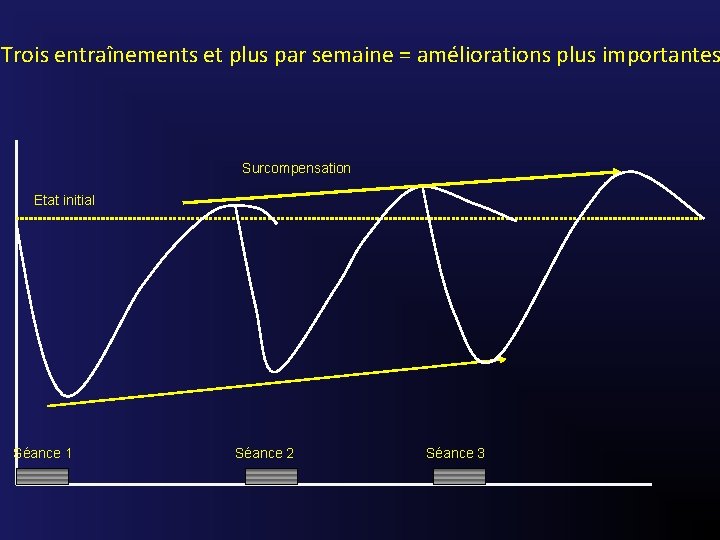 Trois entraînements et plus par semaine = améliorations plus importantes Surcompensation Etat initial Séance