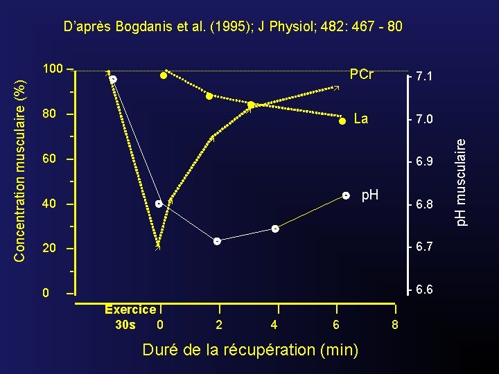 D’après Bogdanis et al. (1995); J Physiol; 482: 467 - 80 - 80 –