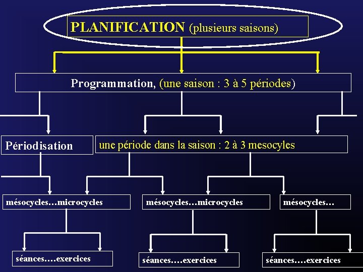 PLANIFICATION (plusieurs saisons) Programmation, (une saison : 3 à 5 périodes) Périodisation une période