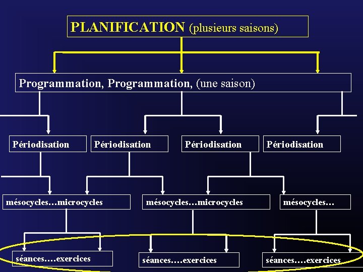 PLANIFICATION (plusieurs saisons) Programmation, (une saison) Périodisation mésocycles…microcycles séances…. exercices Périodisation mésocycles… séances…. exercices